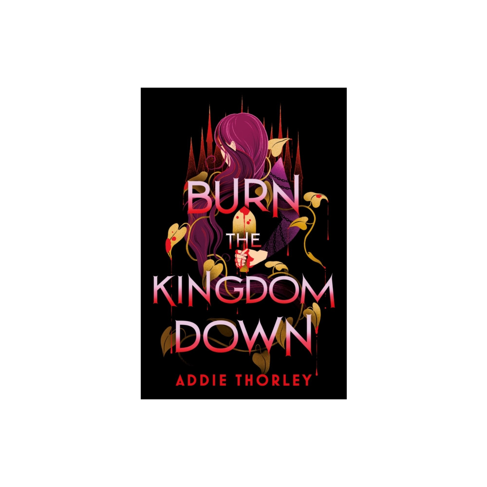 Produktbild för Burn the Kingdom Down (häftad, eng)