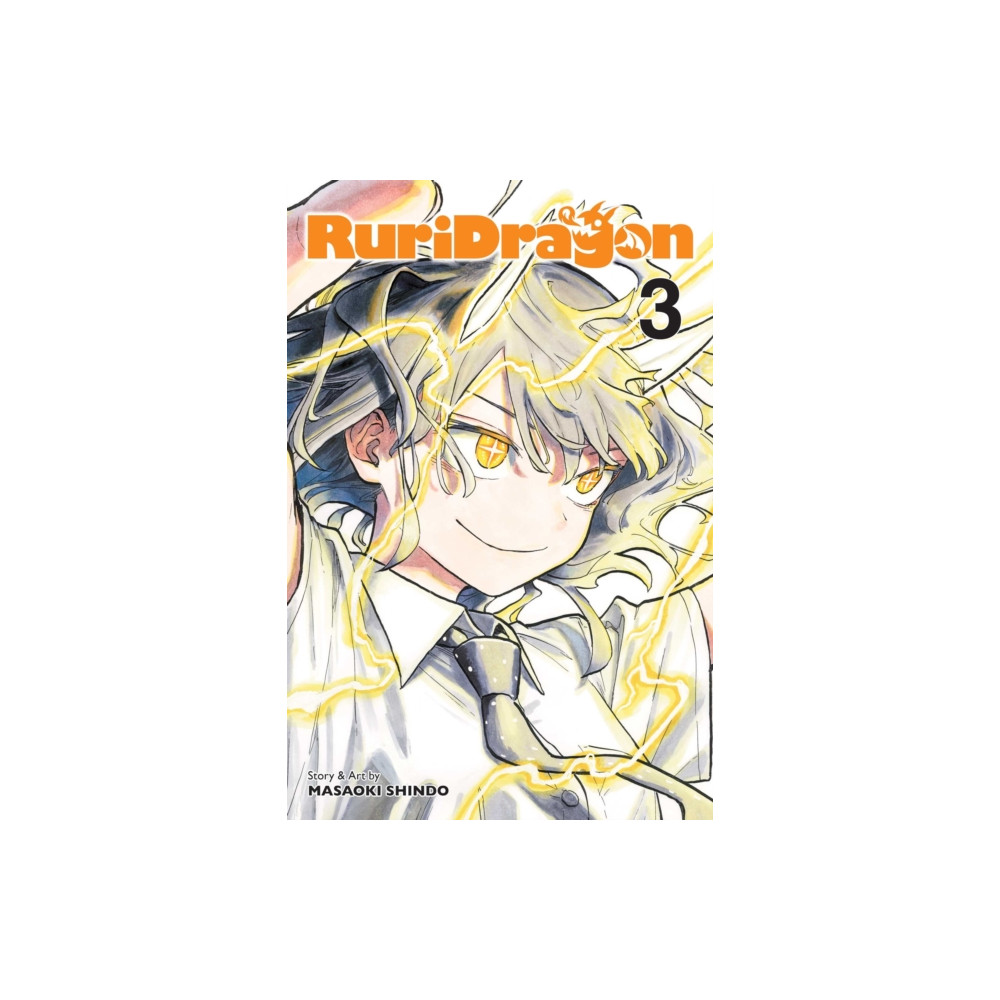 Produktbild för RuriDragon, Vol. 3 (häftad, eng)