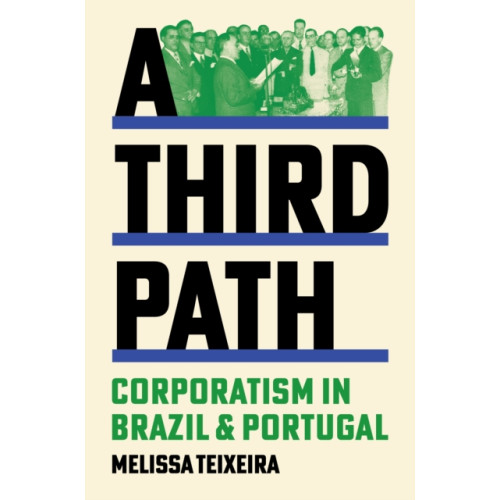 Princeton University Press A Third Path (häftad, eng)