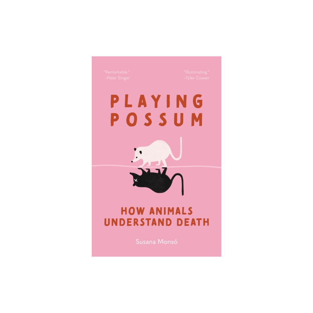 Produktbild för Playing Possum (häftad, eng)