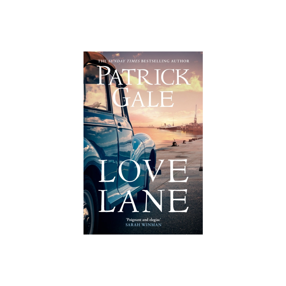 Produktbild för Love Lane (häftad, eng)