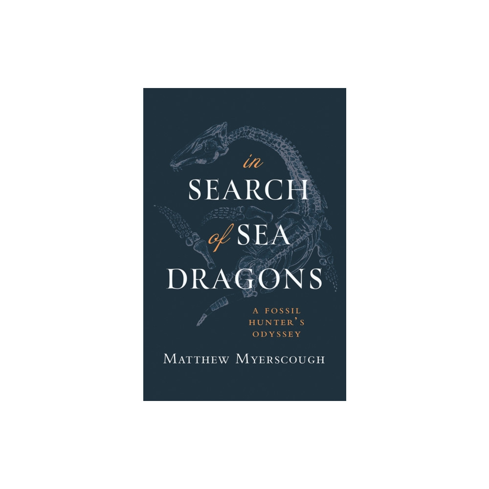 Produktbild för In Search of Sea Dragons (häftad, eng)