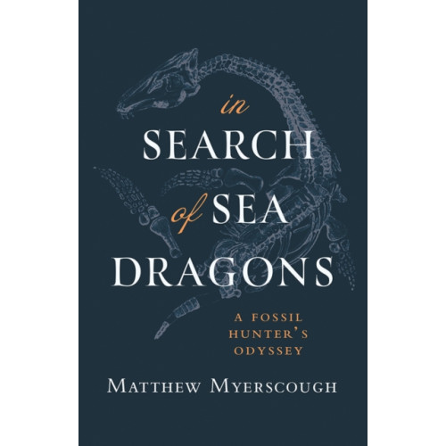 Poetry Wales Press In Search of Sea Dragons (häftad, eng)