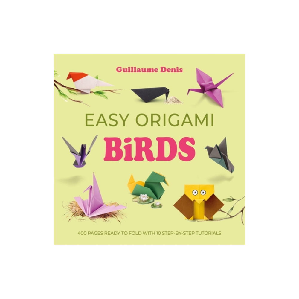 Produktbild för Easy Origami Birds (häftad, eng)