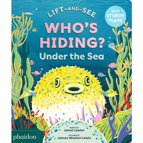 Phaidon Press Ltd WHO'S HIDING? Under the Sea (bok, board book, eng)