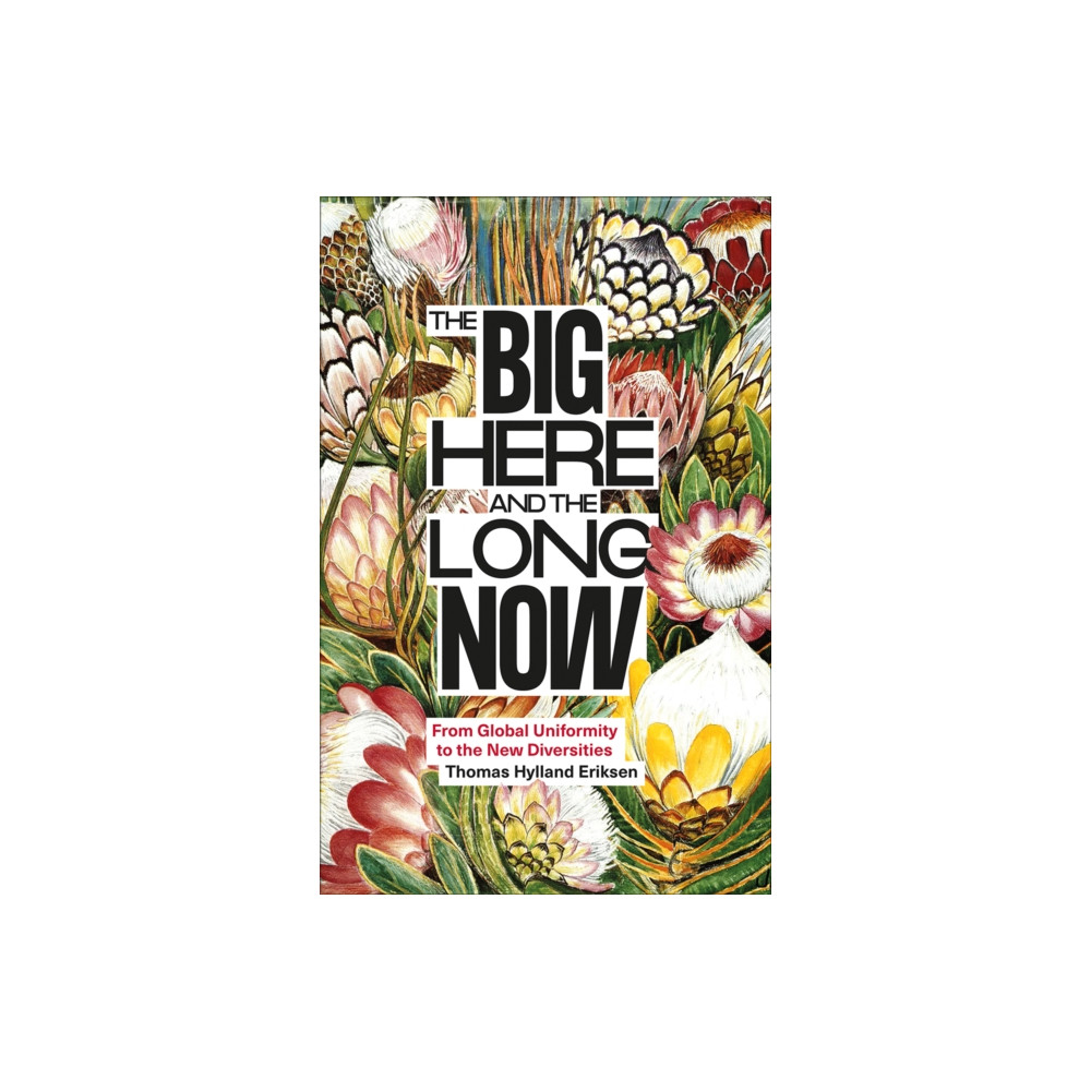 Produktbild för The Big Here and the Long Now (häftad, eng)