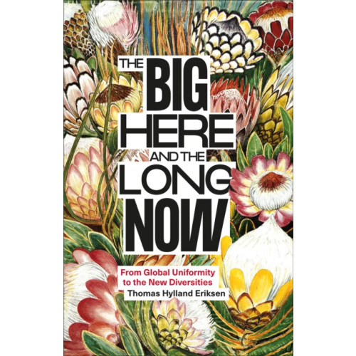 Pluto Press The Big Here and the Long Now (häftad, eng)