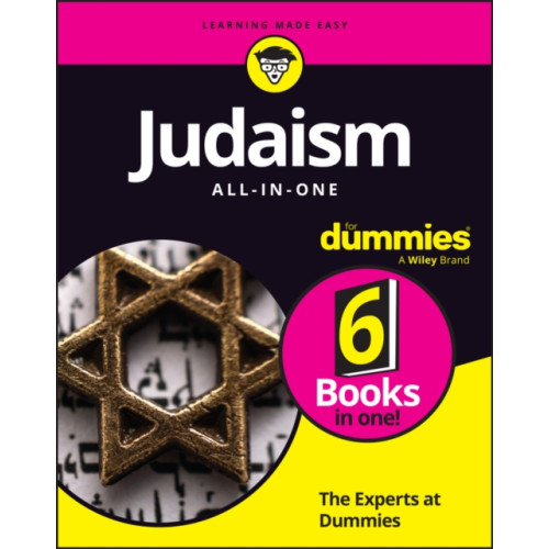 John Wiley & Sons Inc Judaism All-In-One For Dummies (häftad, eng)