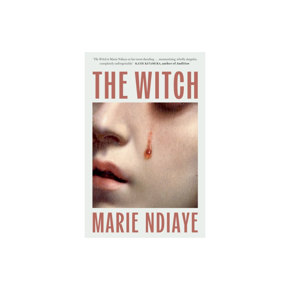 Produktbild för The Witch (häftad, eng)