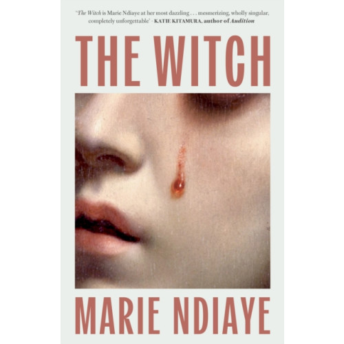 Quercus Publishing The Witch (häftad, eng)
