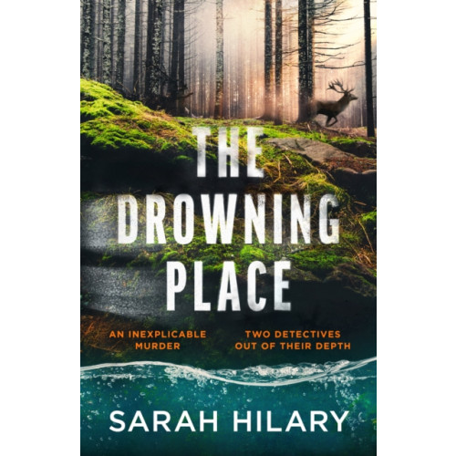 Vintage Publishing The Drowning Place (häftad, eng)