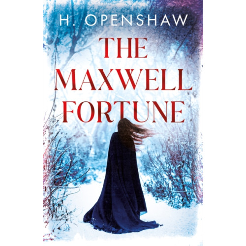 Troubador Publishing The Maxwell Fortune (häftad, eng)