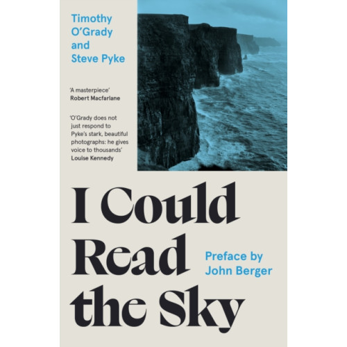 Wilton Square Books I Could Read the Sky (häftad, eng)
