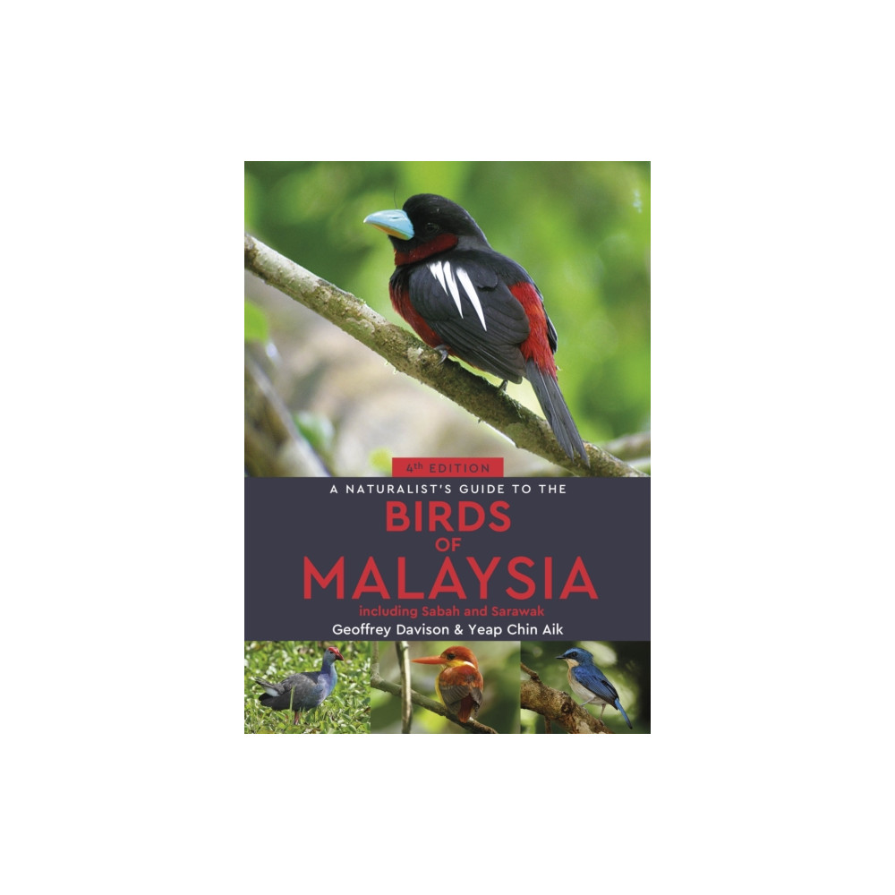 Produktbild för A Naturalist's Guide to the Birds of Malaysia (häftad, eng)
