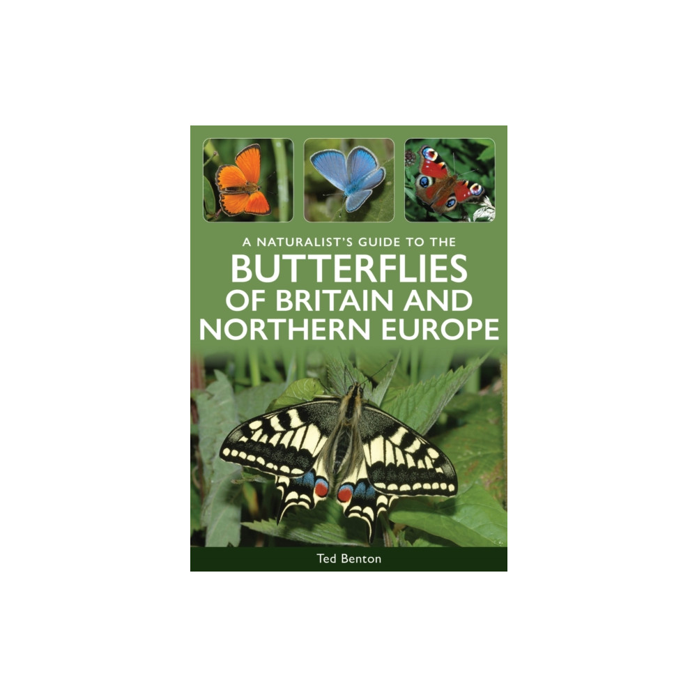 Produktbild för A Naturalist's Guide to the Butterflies of Britain & Northern Europe (häftad, eng)