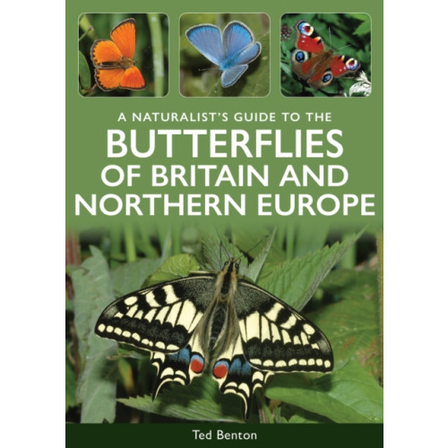 John Beaufoy Publishing Ltd A Naturalist's Guide to the Butterflies of Britain & Northern Europe (häftad, eng)