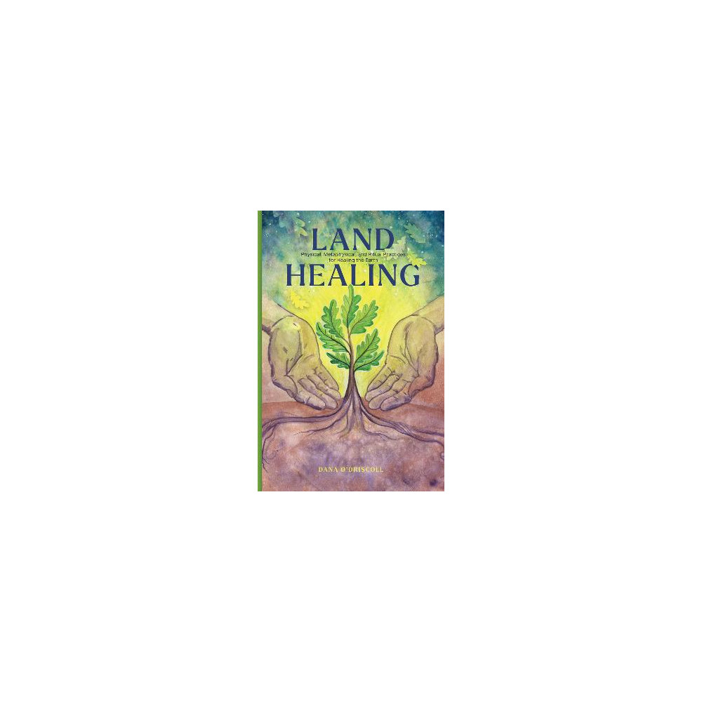 Produktbild för Land Healing: Physical, Metaphysical, and Ritual Practices for Healing the Earth (häftad, eng)