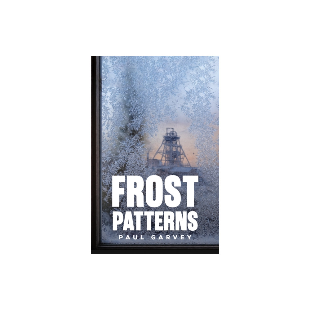Produktbild för Frost Patterns (häftad, eng)