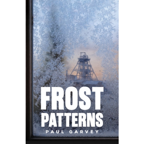 Austin Macauley Publishers Frost Patterns (häftad, eng)