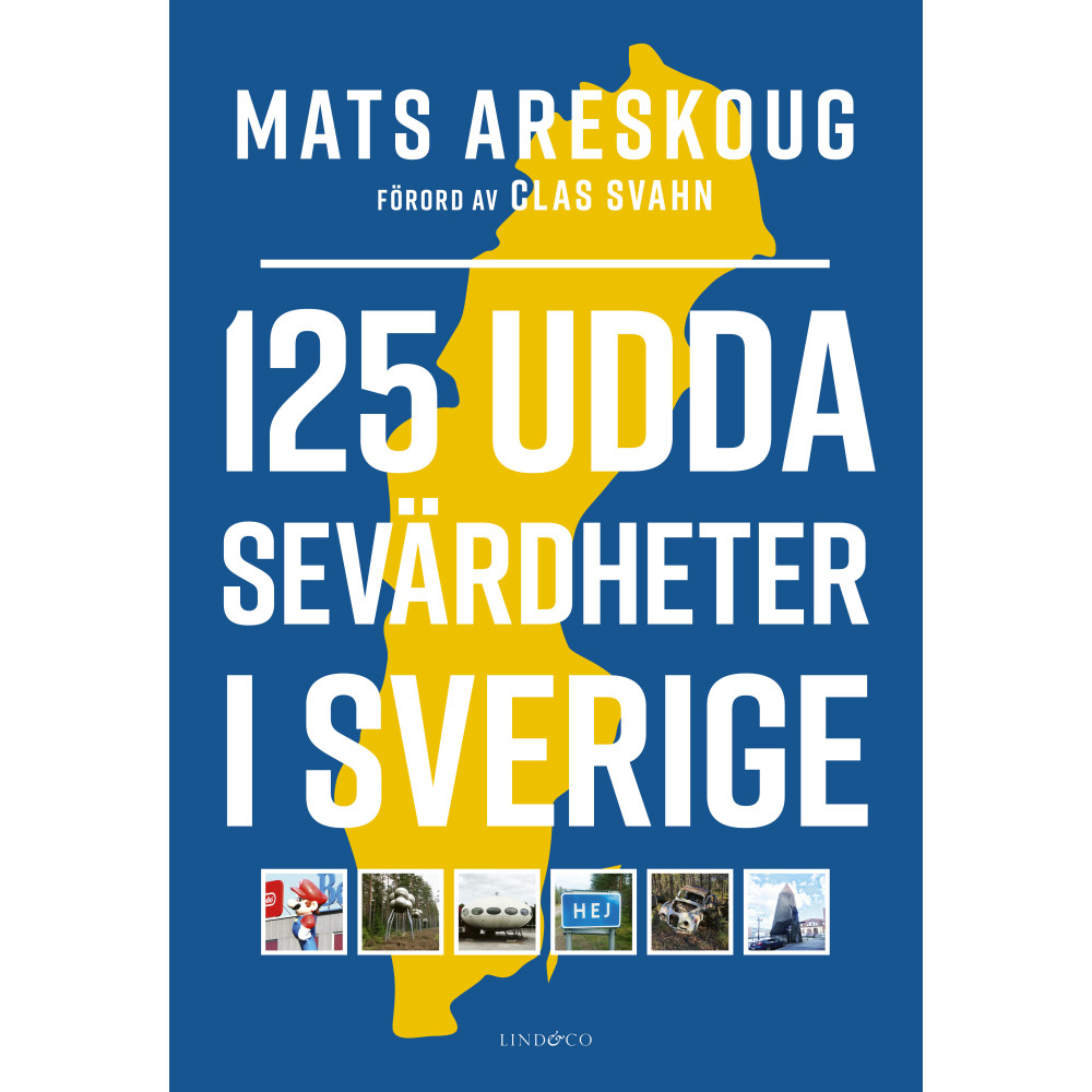 Produktbild för 125 udda sevärdheter i Sverige (inbunden)
