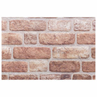 Produktbild för Väggpaneler 10 pcs Brun 100 x 50 cm EPS Skum