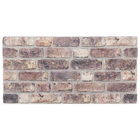 Produktbild för Väggpaneler 10 pcs Mörkbrun 100 x 50 cm EPS Skum