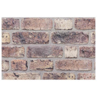 Produktbild för Väggpaneler 10 pcs Mörkbrun 100 x 50 cm EPS Skum