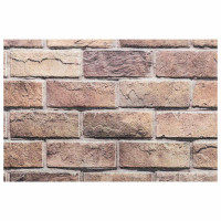 Produktbild för Väggpaneler 10 pcs Brun och Grå 100 x 50 cm EPS Skum