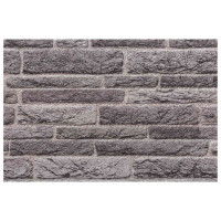 Produktbild för Väggpaneler 10 pcs Antracit 100 x 50 cm EPS Skum