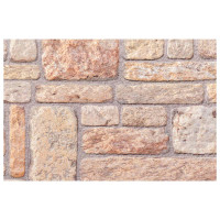 Produktbild för Väggpaneler 10 pcs Ljusbrun och Vit 100 x 50 cm EPS Skum