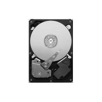 Produktbild för Seagate Pipeline HD ST3320311CS - hårddisk - 320 GB - SATA 3Gb/s