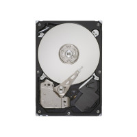 Produktbild för Seagate Pipeline HD ST3320311CS - hårddisk - 320 GB - SATA 3Gb/s