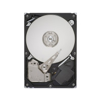Produktbild för Seagate Pipeline HD ST3320311CS - hårddisk - 320 GB - SATA 3Gb/s