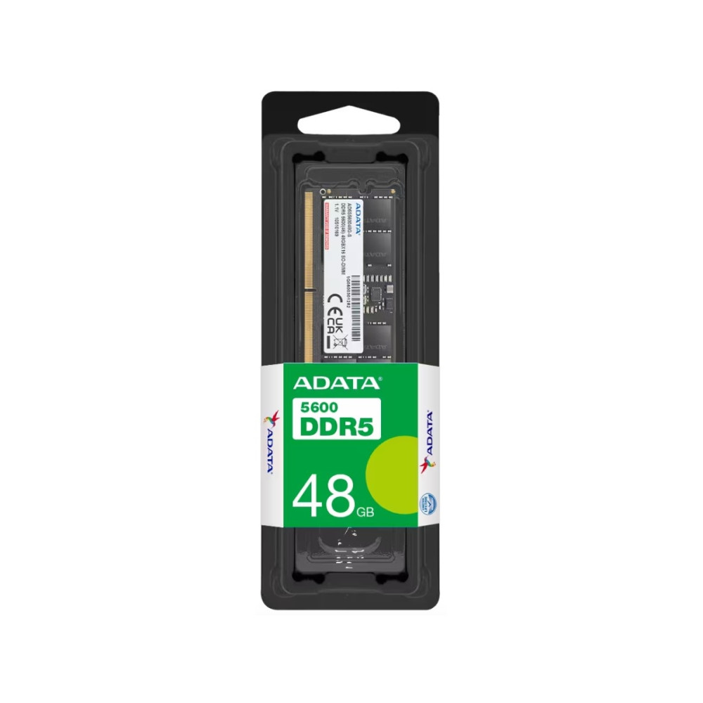 Produktbild för ADATA AD5S560048G-S