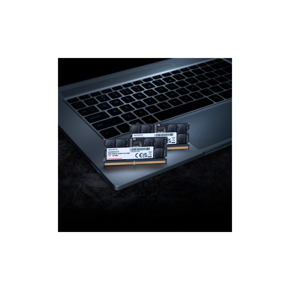 Produktbild för ADATA AD5S560048G-S