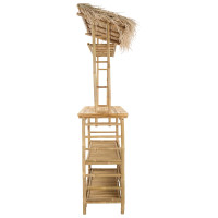 Produktbild för Utomhus Barbord Naturfärg 110 x 50 x 209 cm Bambus