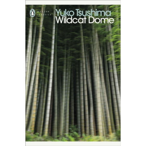Penguin books ltd Wildcat Dome (häftad, eng)