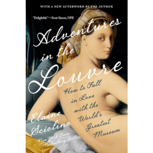 WW Norton & Co Adventures in the Louvre (häftad, eng)