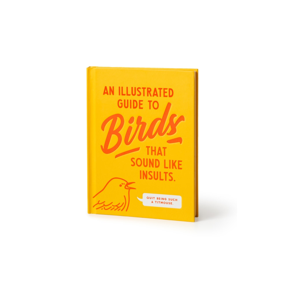 Produktbild för An Illustrated Guide to Birds that Sound like Insults