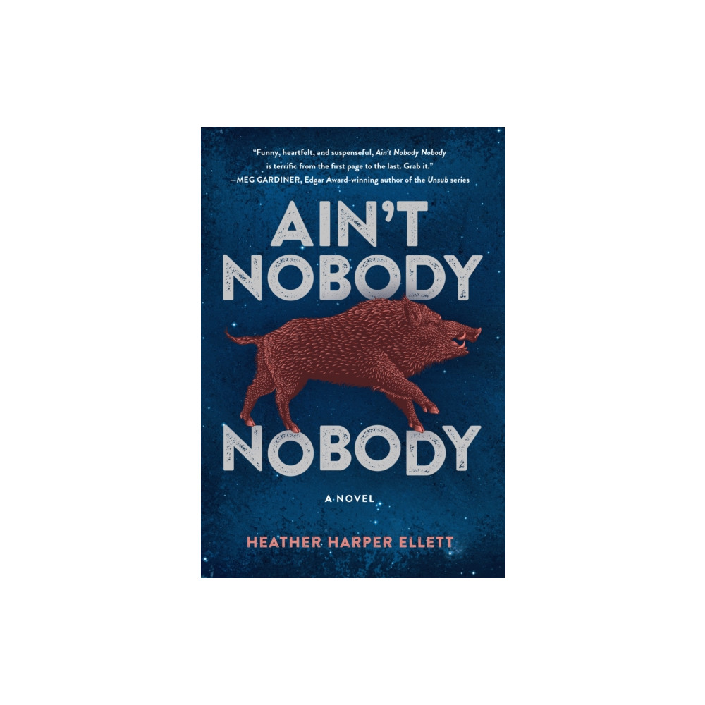 Produktbild för Ain't Nobody, Nobody (häftad, eng)