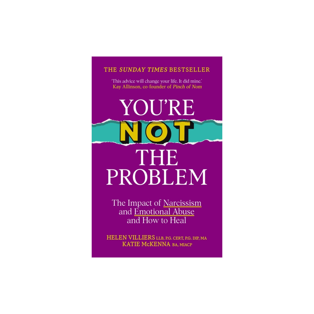 Produktbild för You’re Not the Problem (häftad, eng)