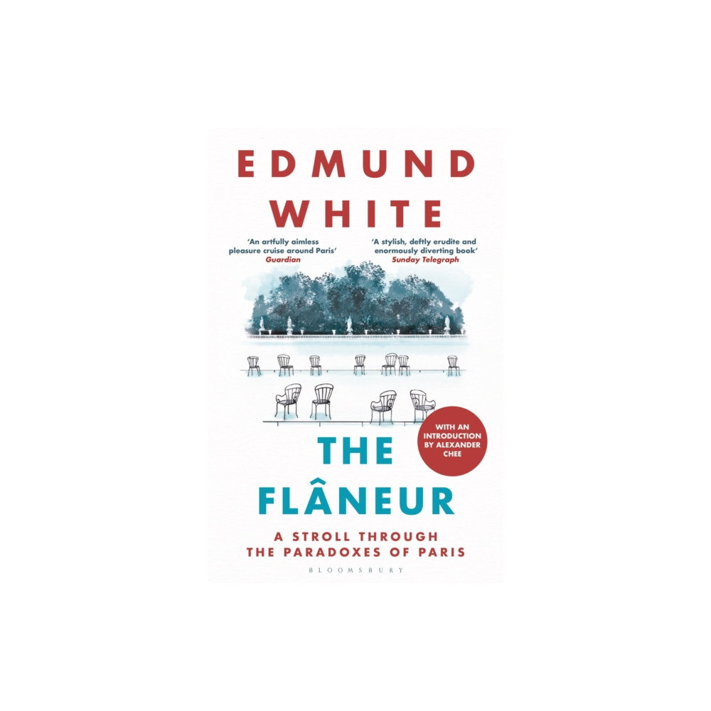 Produktbild för The Flaneur (häftad, eng)