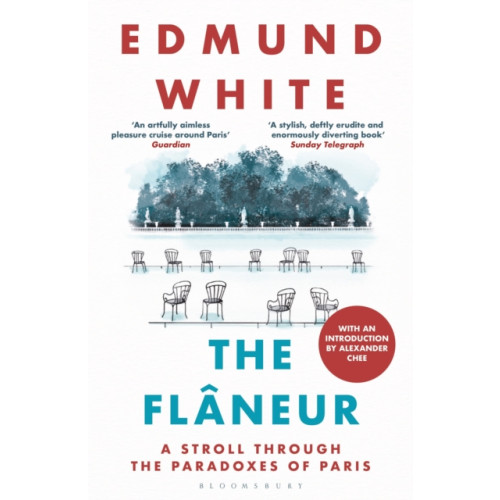 Bloomsbury Publishing PLC The Flaneur (häftad, eng)