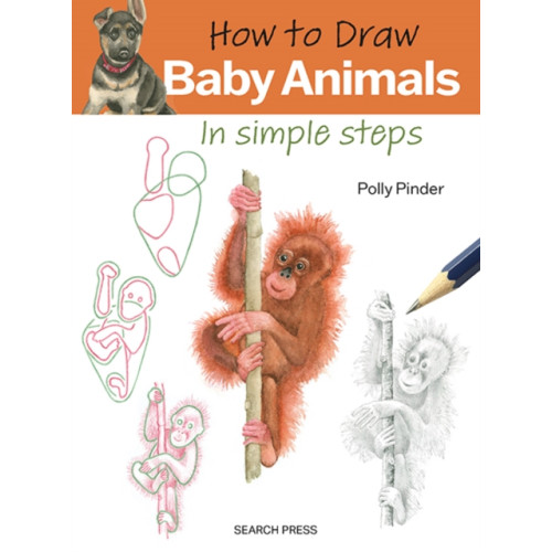 Search Press Ltd How to Draw: Baby Animals (häftad, eng)