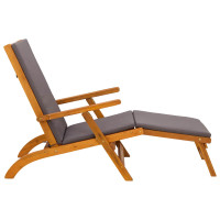 Produktbild för Reclining och Fällbar Solstol 55 x 146 x 91 cm