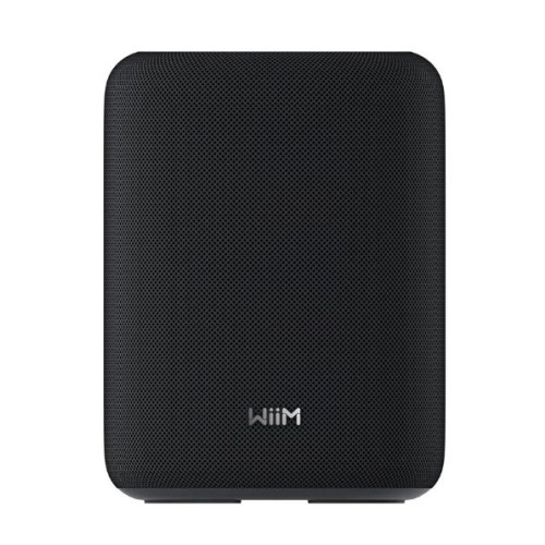 Usorteret WiiM Sound Lite
