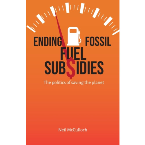 Practical Action Publishing Ending Fossil Fuel Subsidies (häftad, eng)