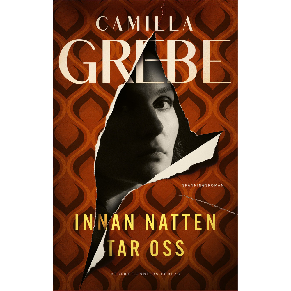 Produktbild för Innan natten tar oss (inbunden)
