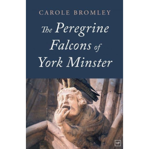Valley Press The Peregrine Falcons of York Minster (häftad, eng)