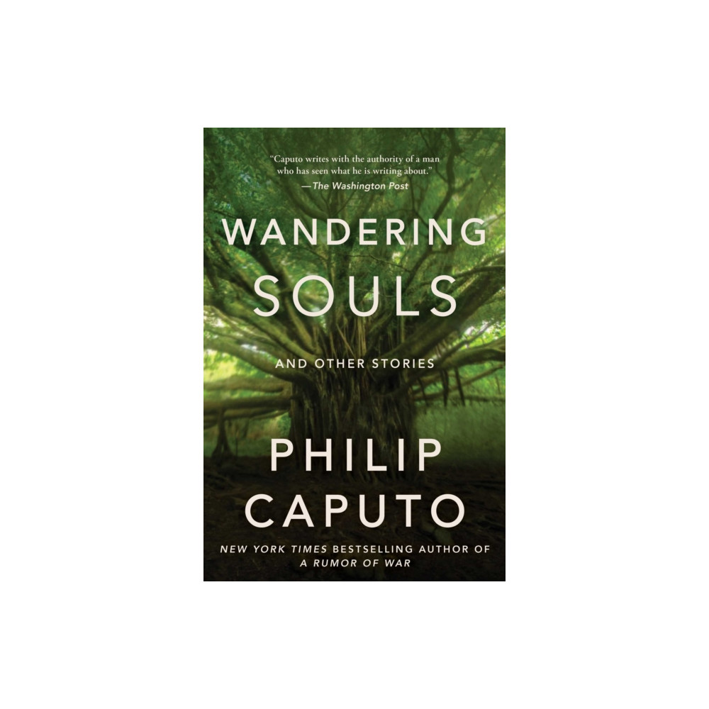 Produktbild för Wandering Souls (inbunden, eng)